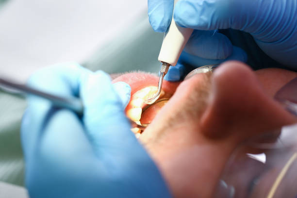 Best Dentist Open on Weekends  in Sherman, IL