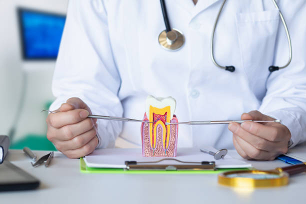 Best Root Canal Emergency Dentist  in Sherman, IL